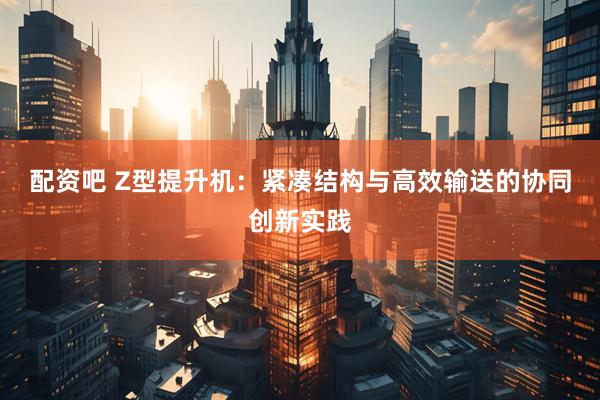 配资吧 Z型提升机：紧凑结构与高效输送的协同创新实践