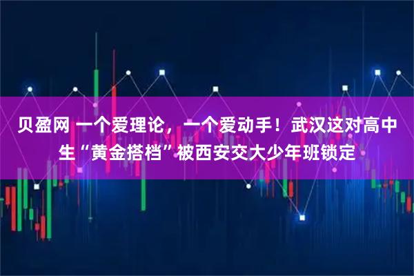 贝盈网 一个爱理论，一个爱动手！武汉这对高中生“黄金搭档”被西安交大少年班锁定