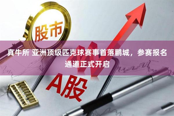 真牛所 亚洲顶级匹克球赛事首落鹏城，参赛报名通道正式开启