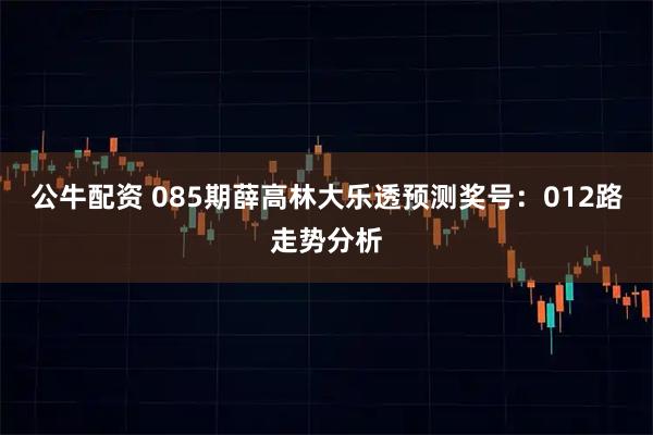 公牛配资 085期薛高林大乐透预测奖号：012路走势分析